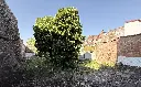 FullSizeRender-7.webp
