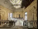 IMG_3933.webp